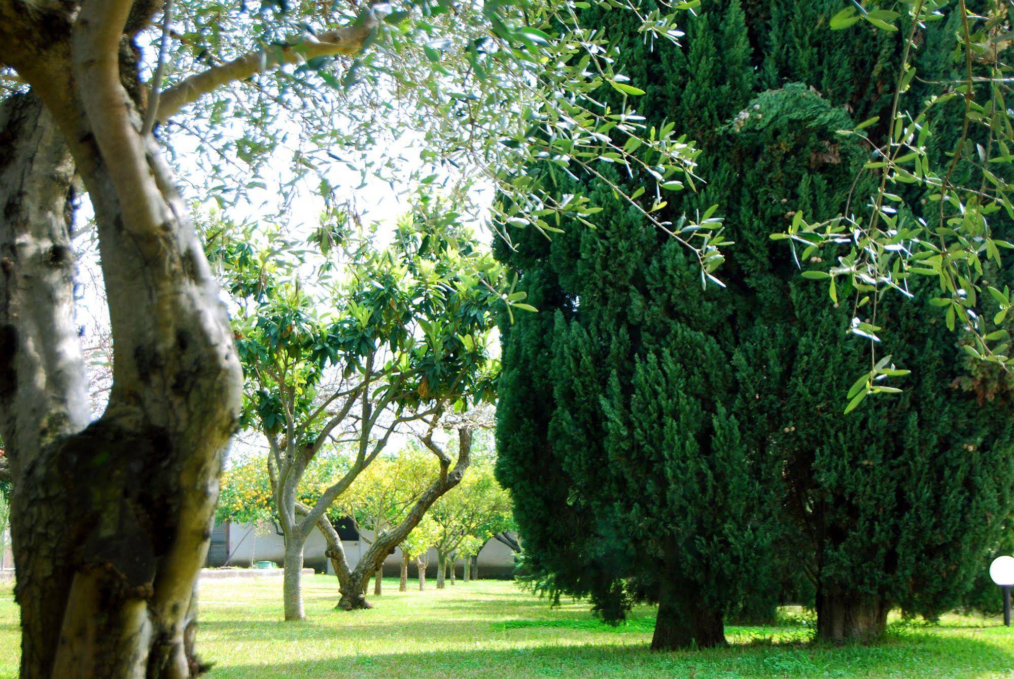 Il Giardino Dei Pini