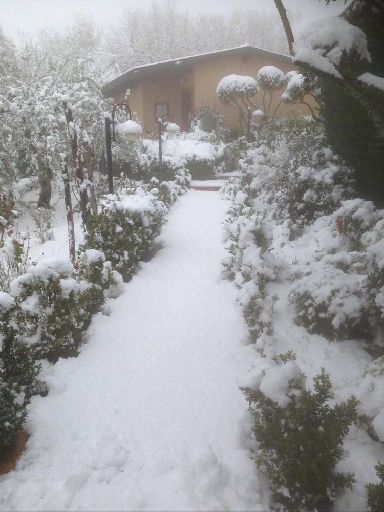 Residence Villa Rosi