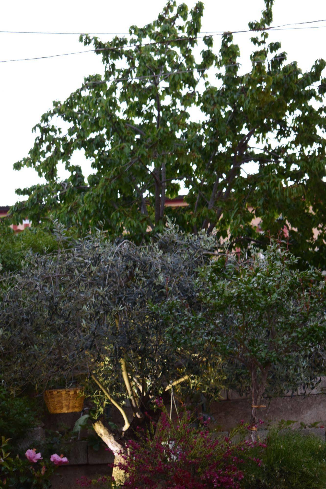 La Vecchia Taverna Bed and Breakfast