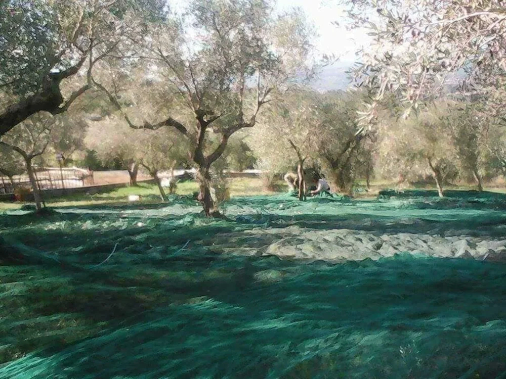 Agriturismo Borgonuovo
