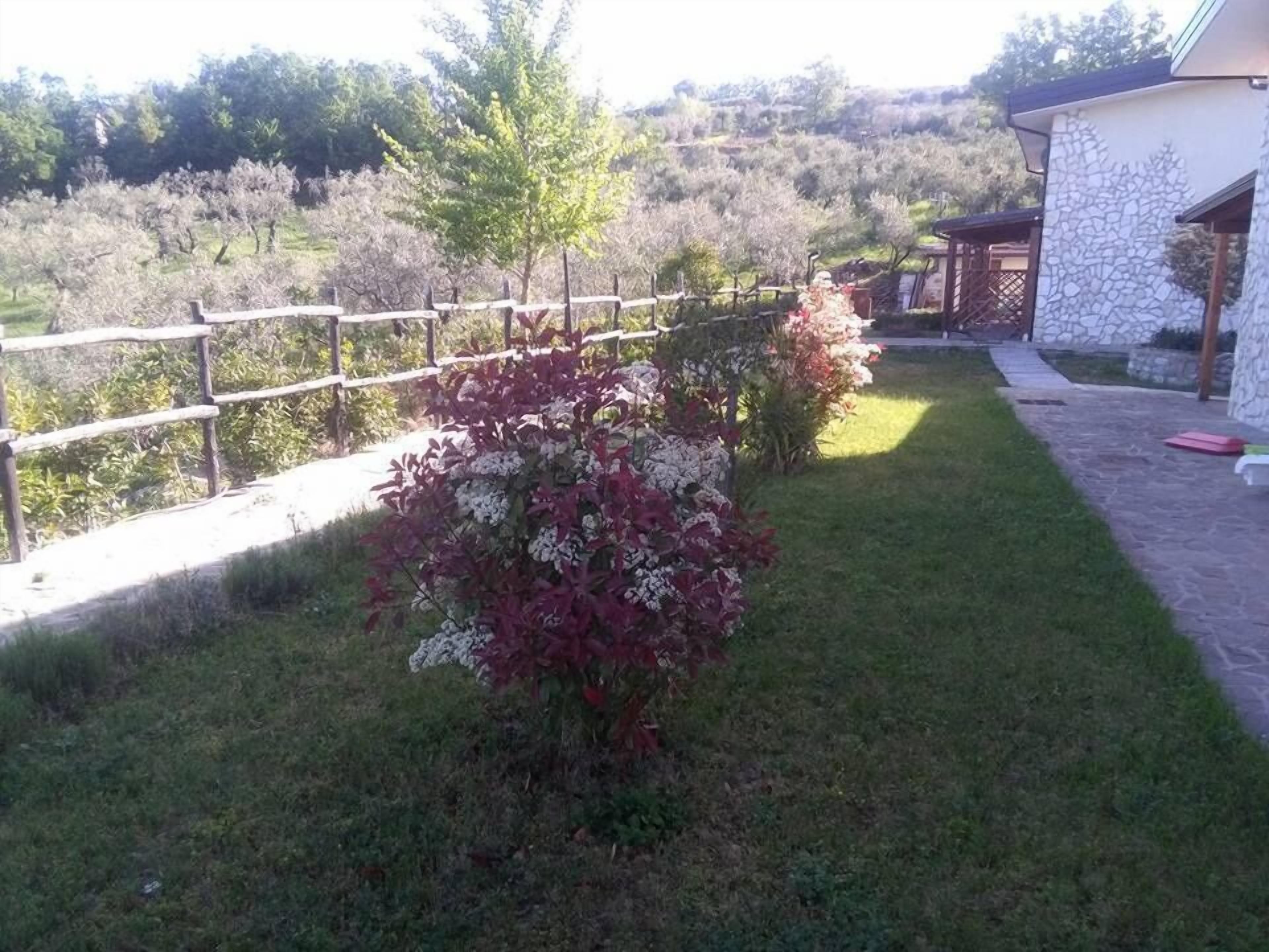Agriturismo La Rocca Degli Ulivi