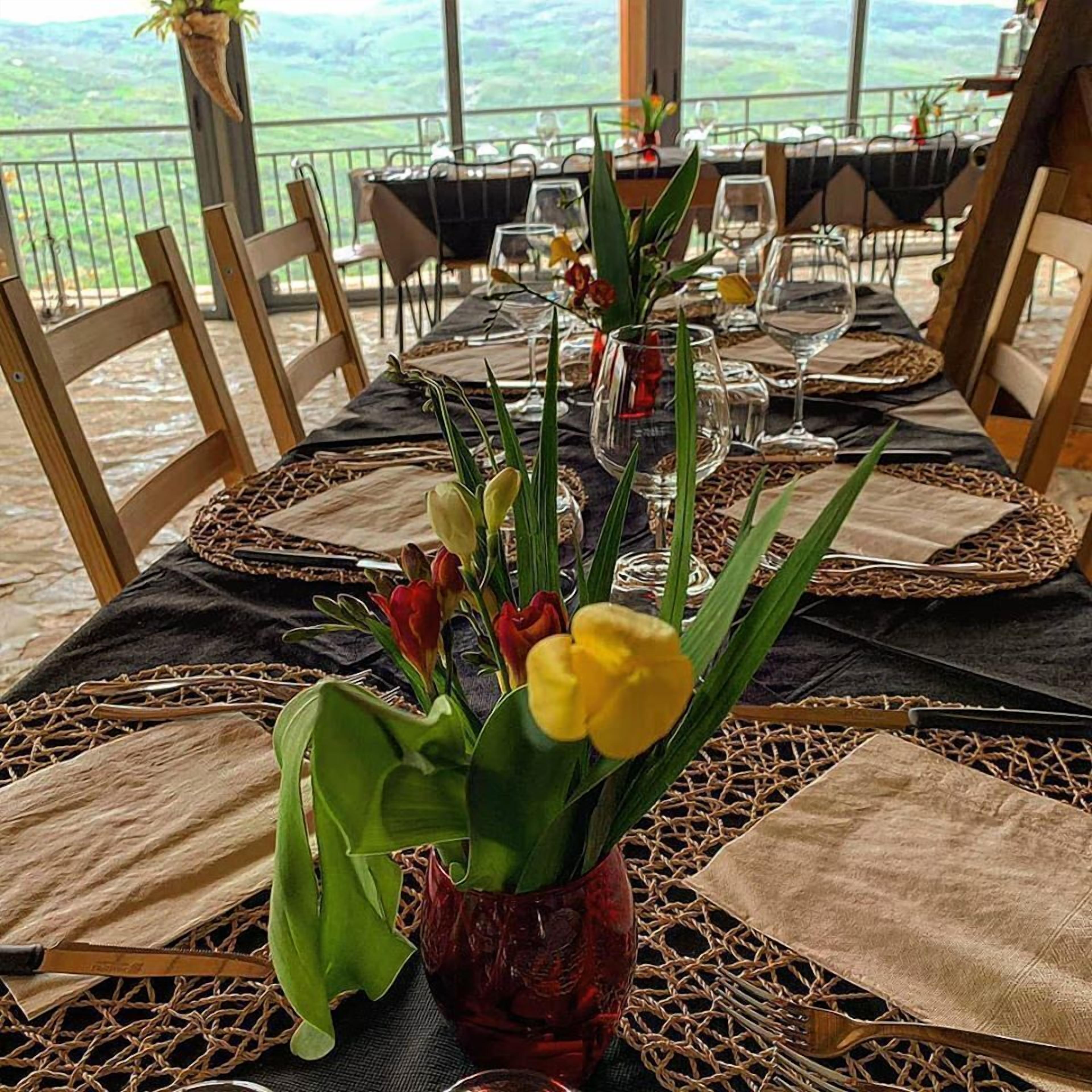 Agriturismo La Rocca Degli Ulivi