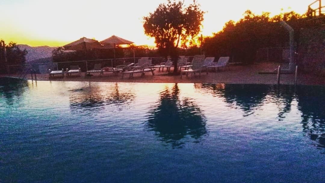 Agriturismo La Rocca Degli Ulivi