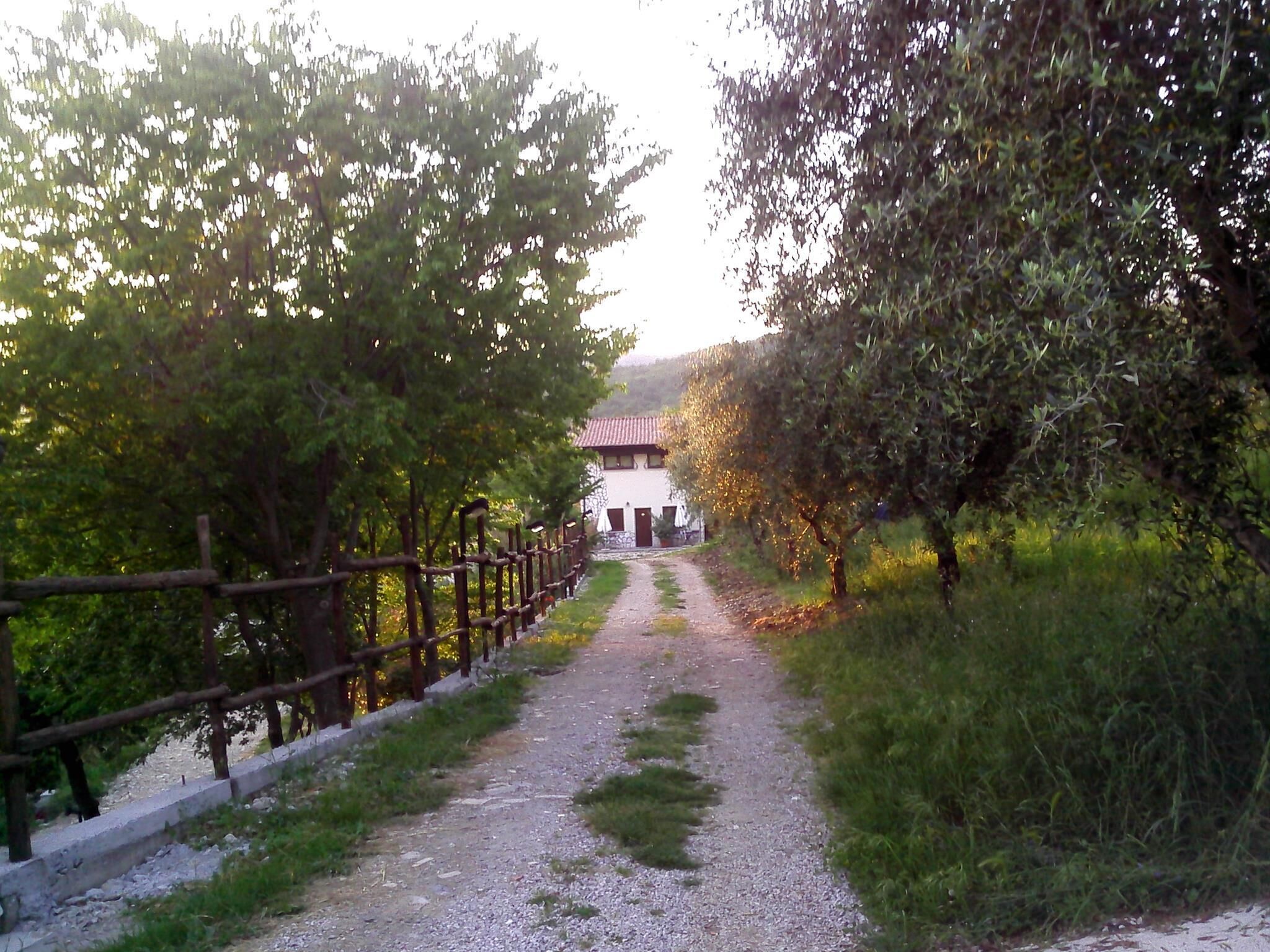 Agriturismo La Rocca Degli Ulivi