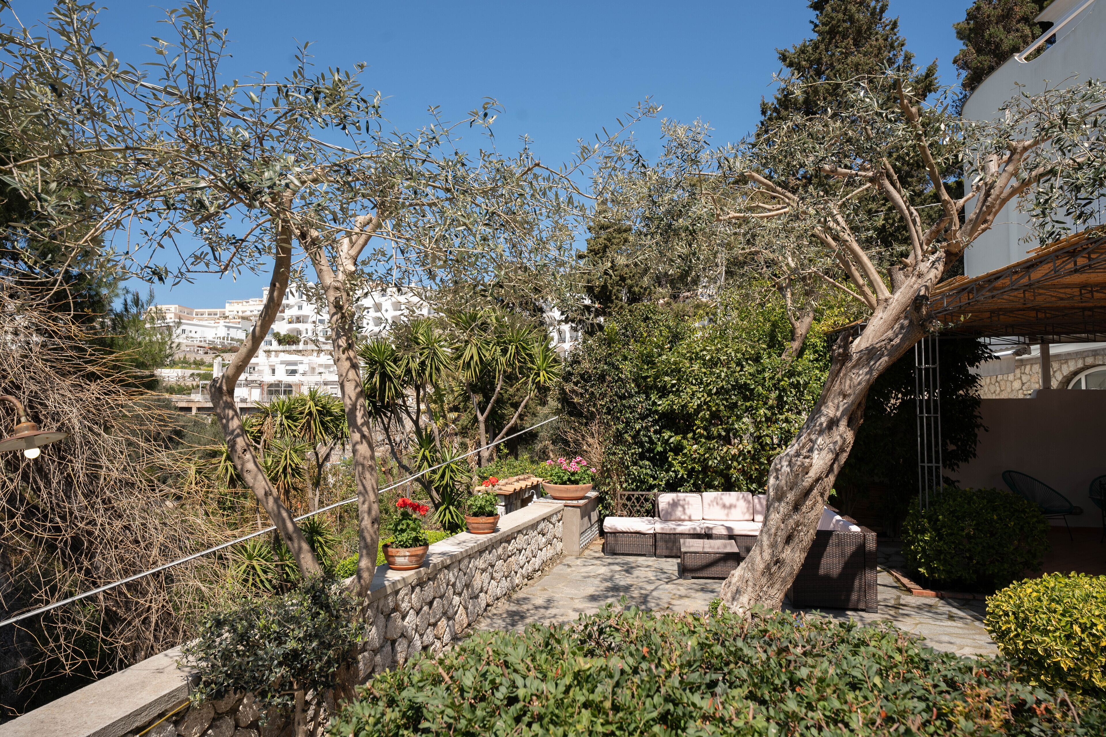 Oliveto Capri Apartments