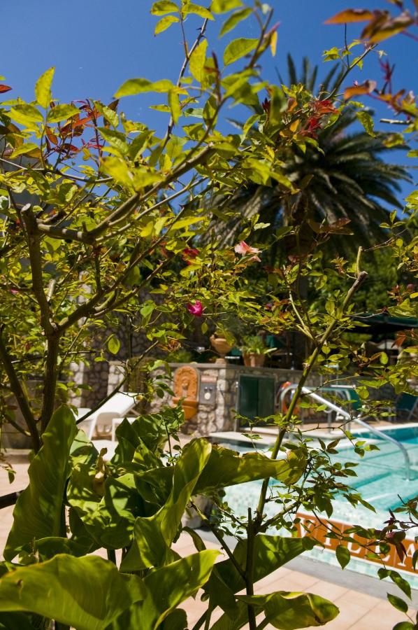 Hotel Villa Sarah