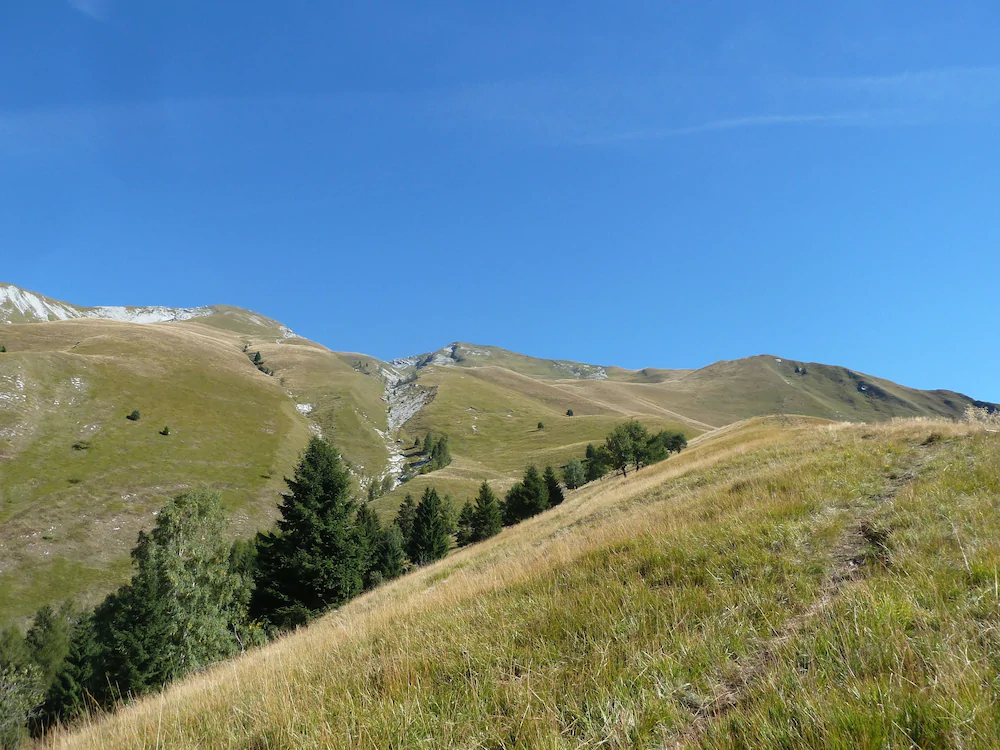 Giardini dell’Ardo