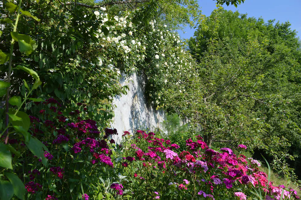Giardini dell’Ardo