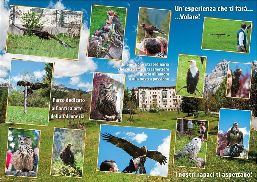 Hotel Park des Dolomites