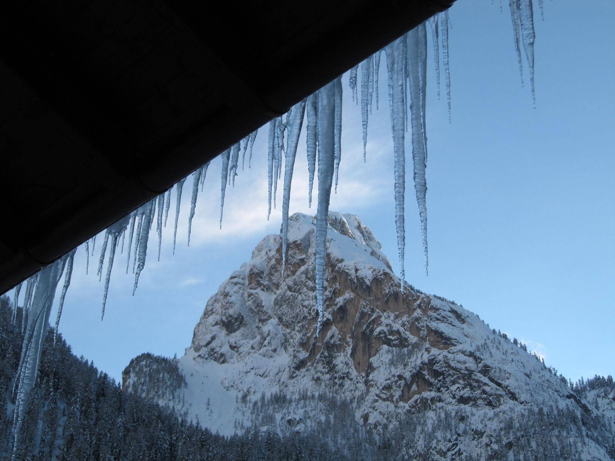 Appartamenti Chalet Orchidea