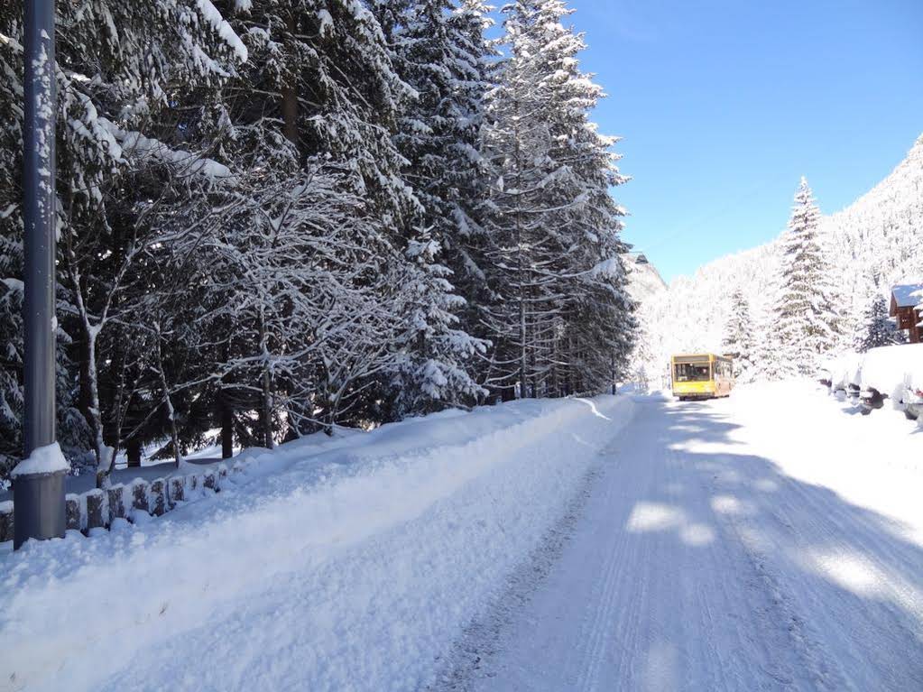 Chalet Pineta