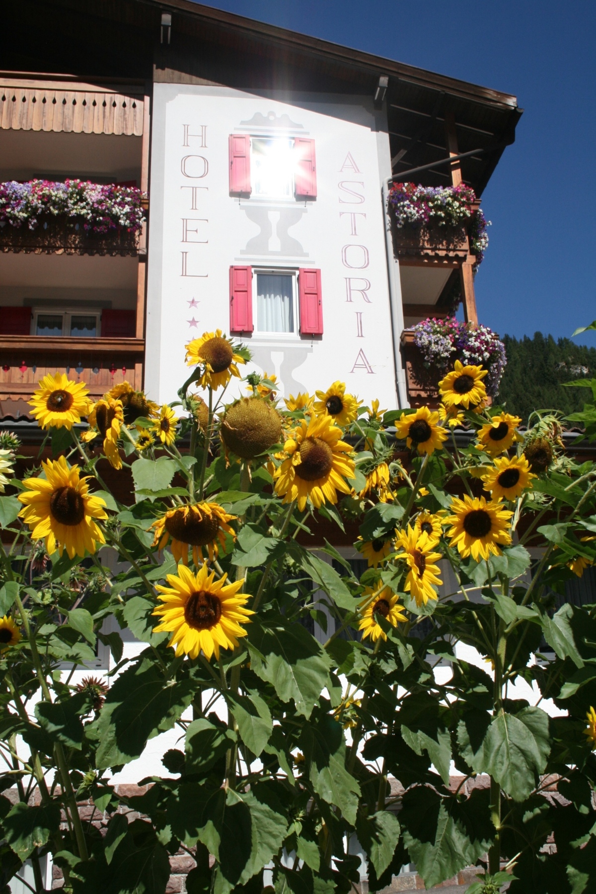 Hotel Astoria