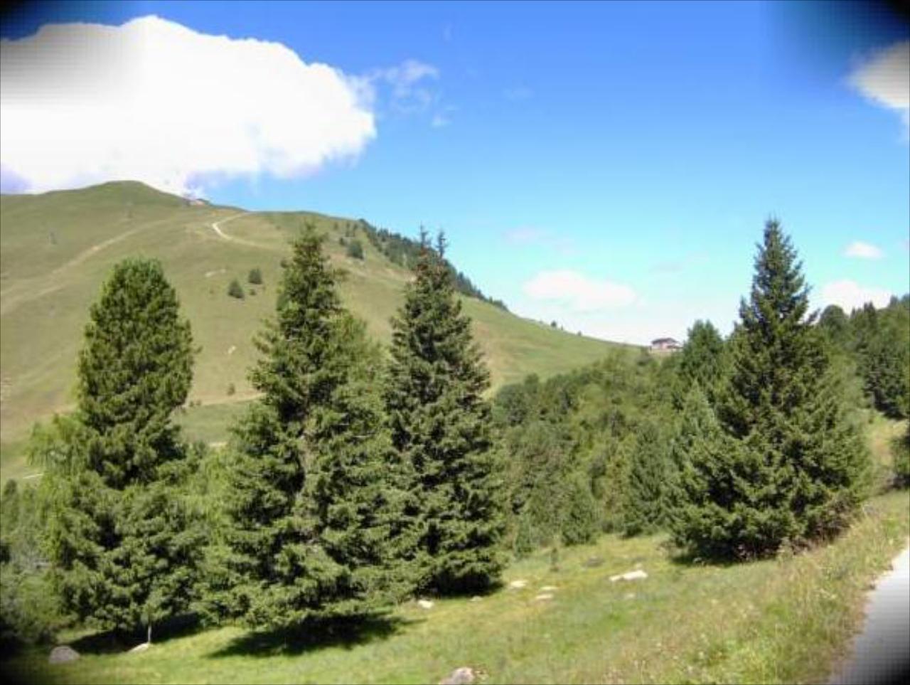 Rifugio Hotel Eurotel & Hotel Sporting