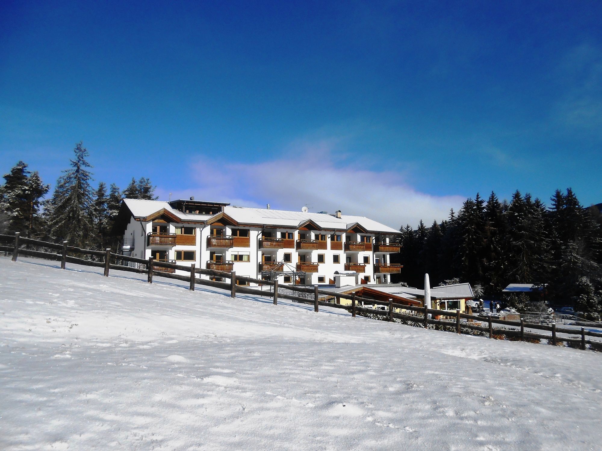 Hotel Pinei