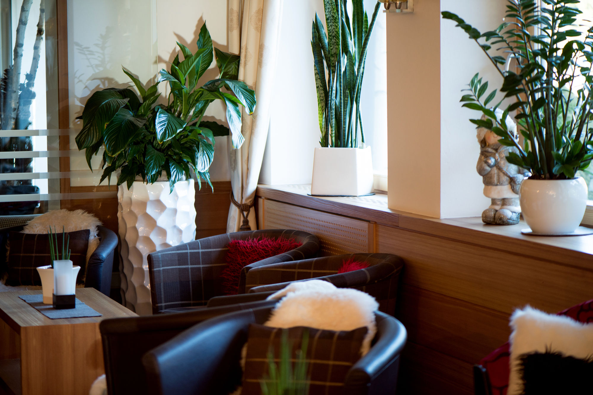 Hotel Pinei