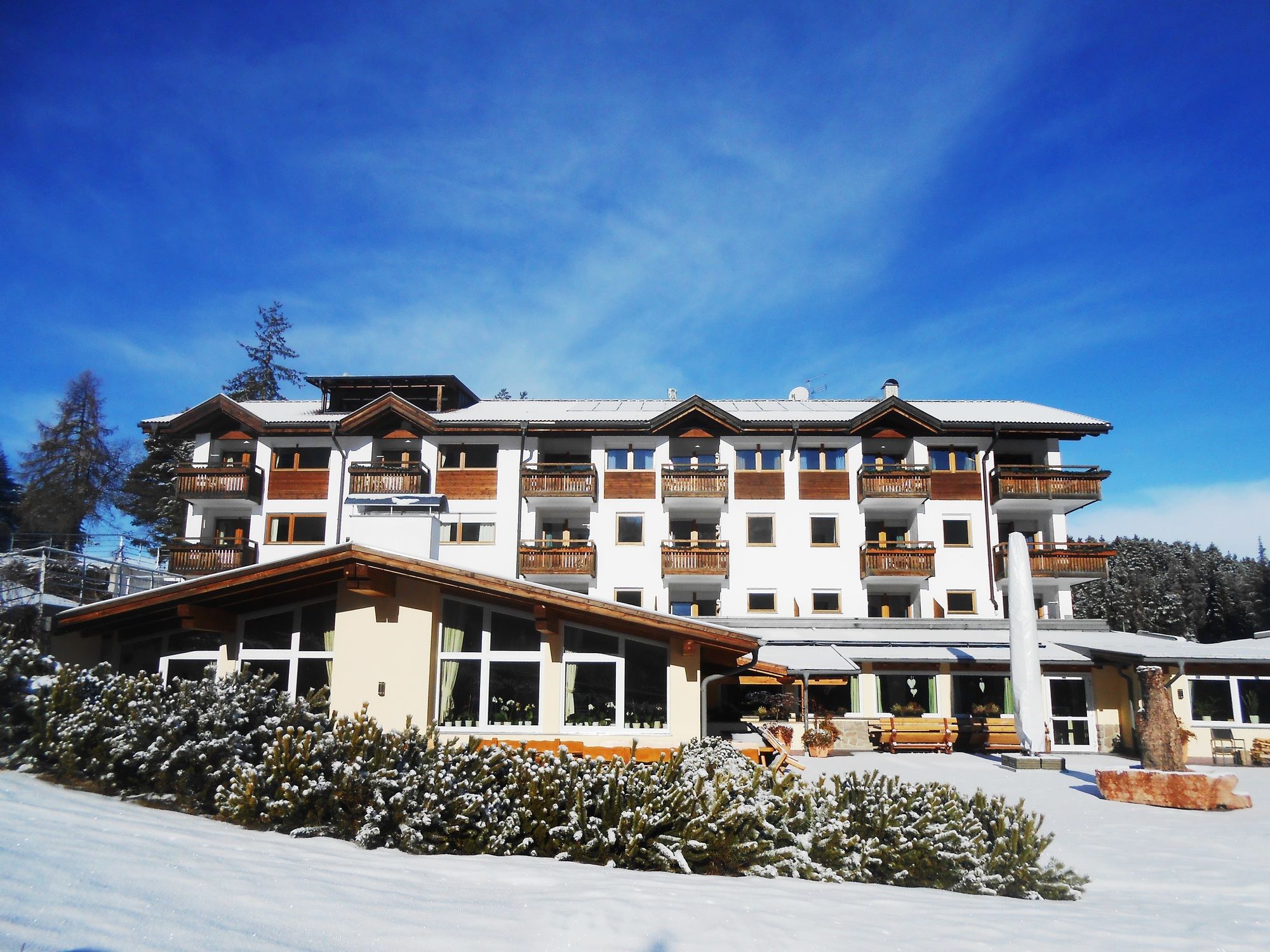 Hotel Pinei