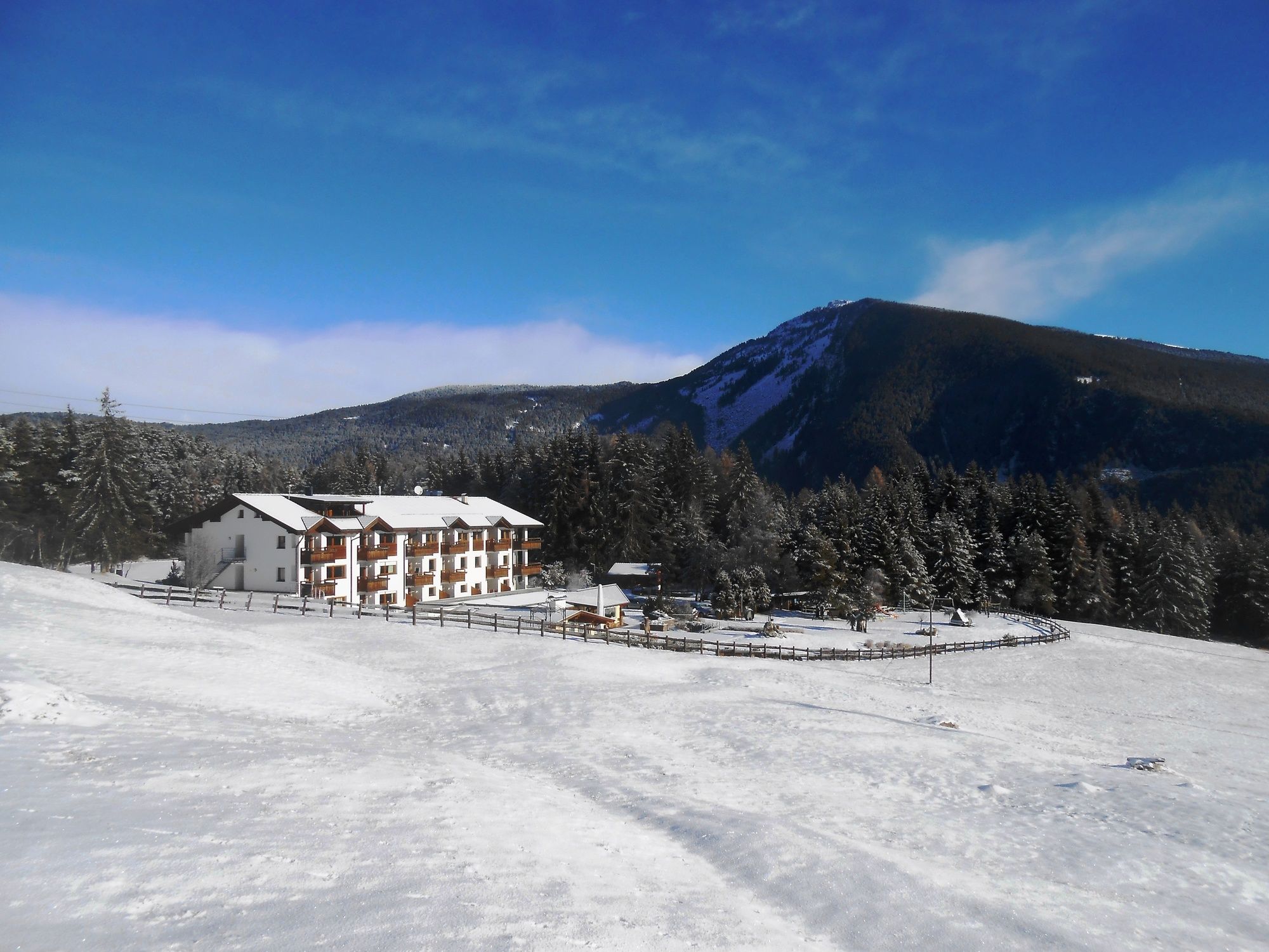 Hotel Pinei