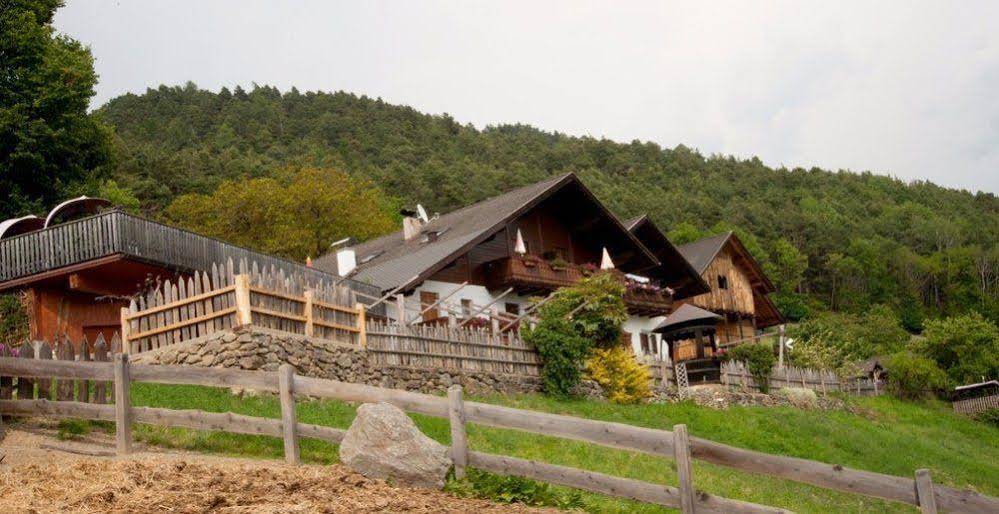 Auservogelweiderhof