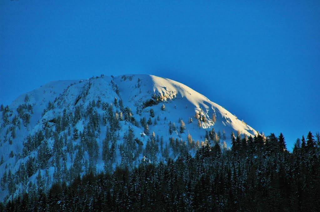 Ciasa Alpina Relax Hotel