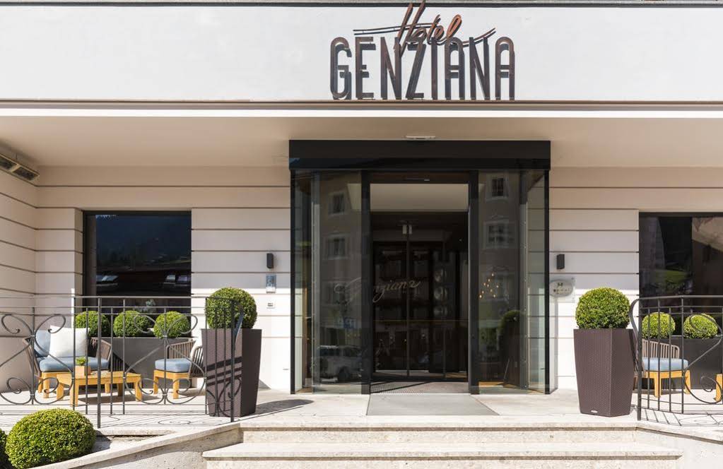 Genziana