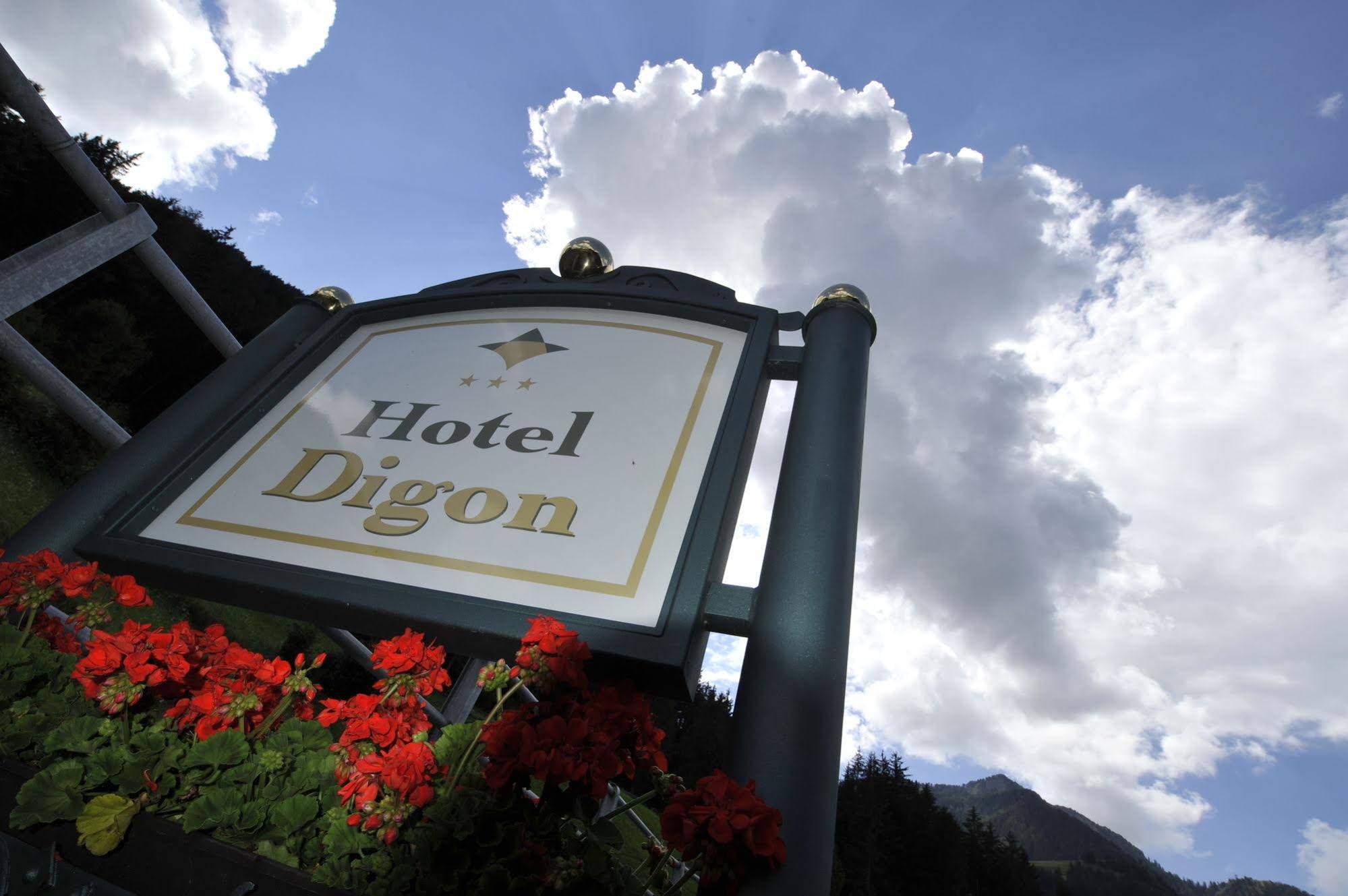 Hotel Digon