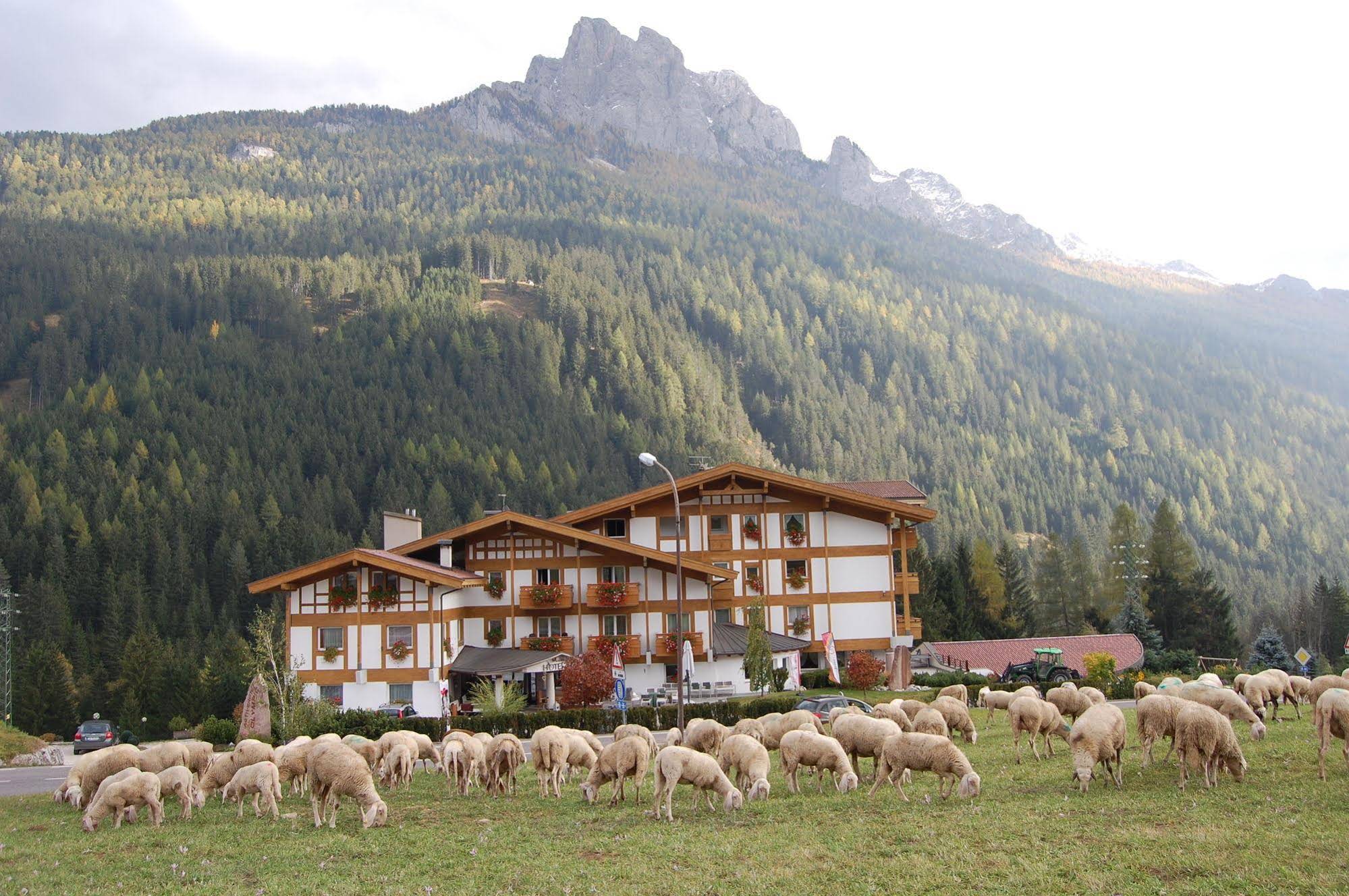 Olympic SPA Hotel