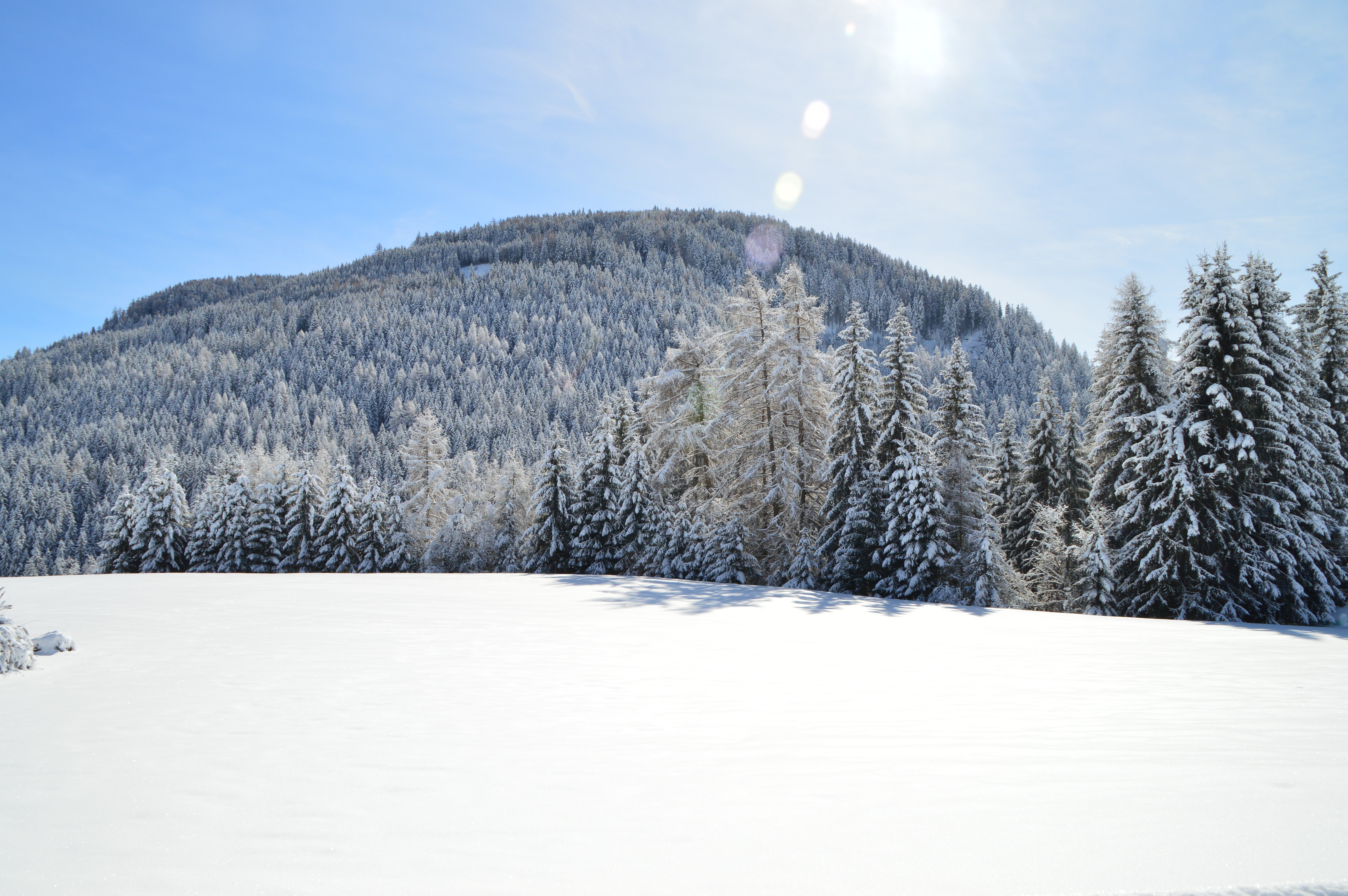 Hotel Chalet Olympia