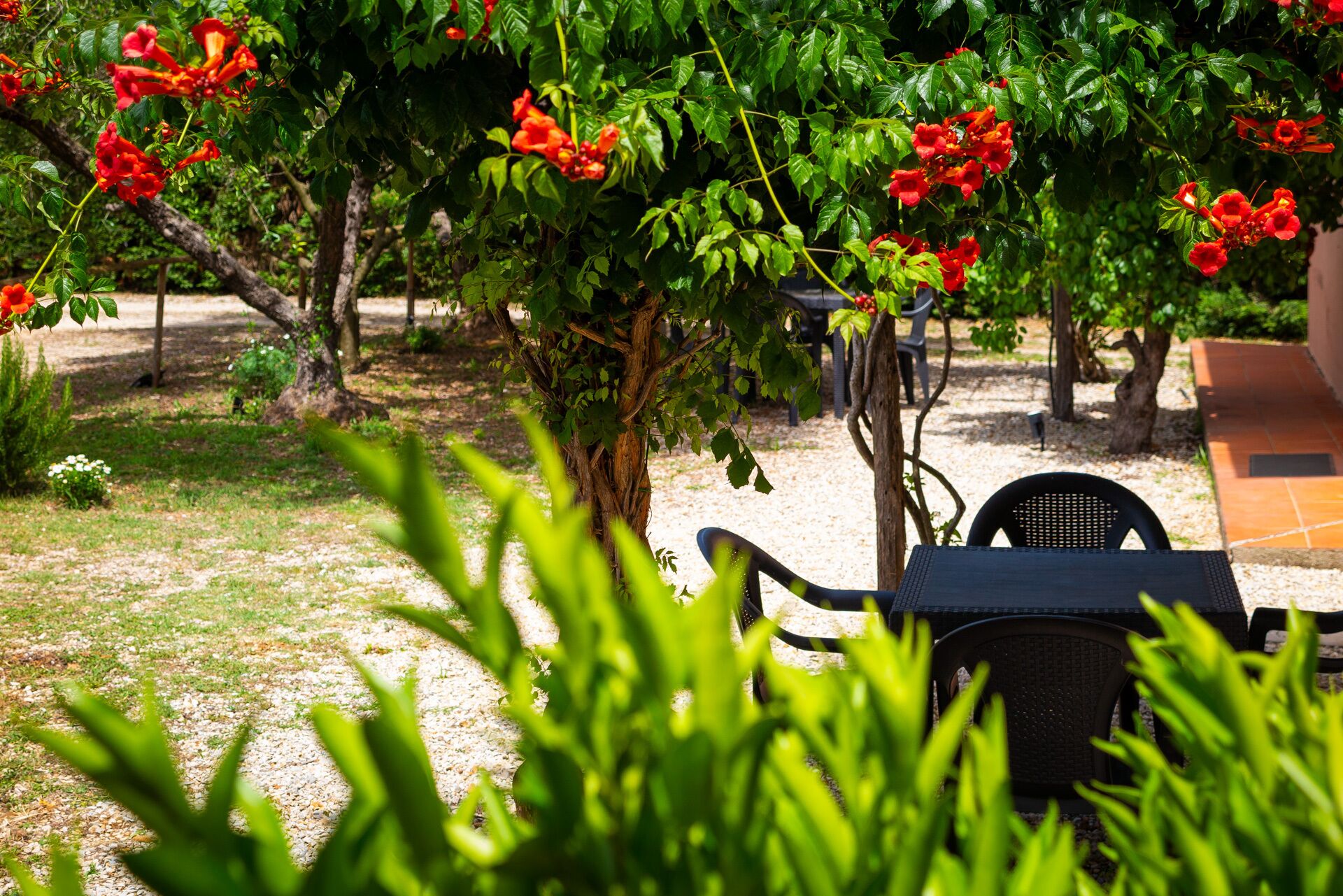 Appartamenti Il Mare E La Quiete