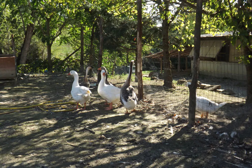 Agriranch La Betla