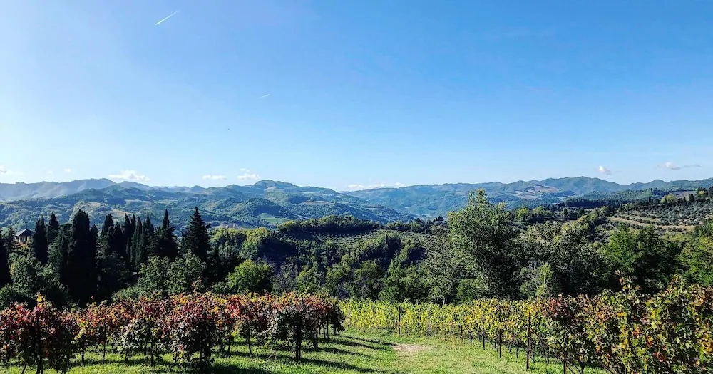 Villa Liverzano