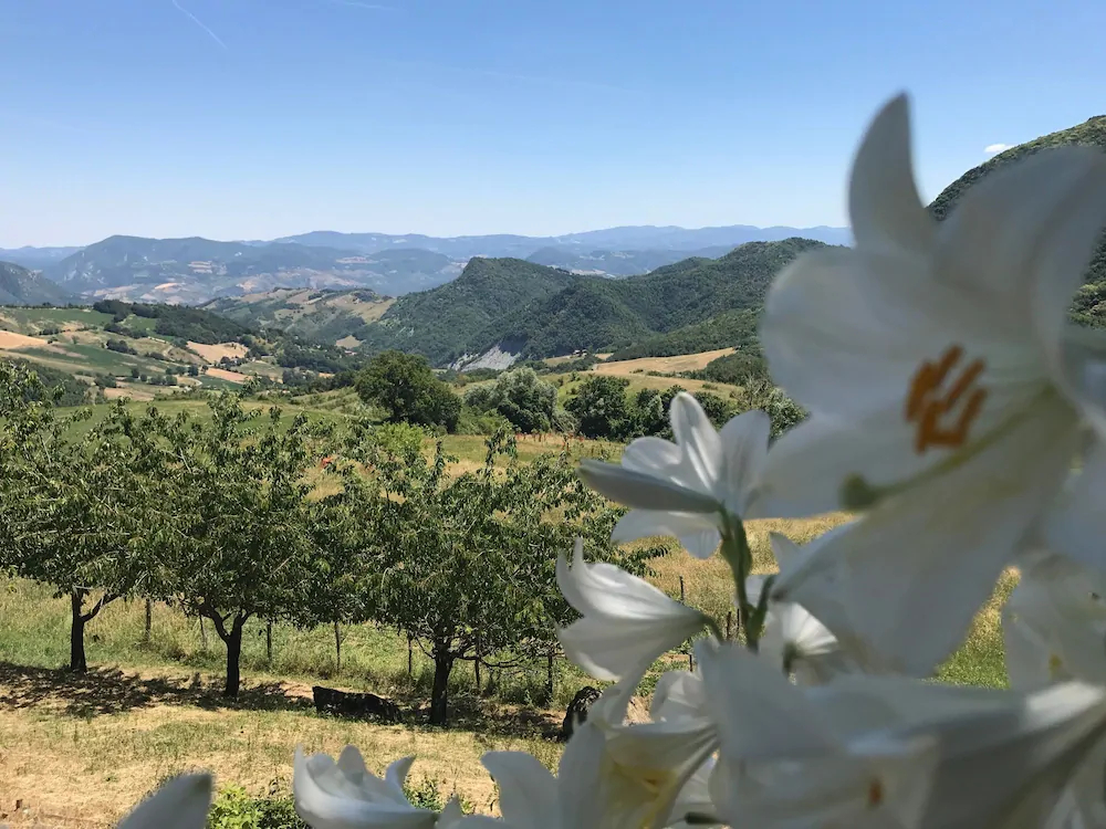 La Piana Dei Castagni
