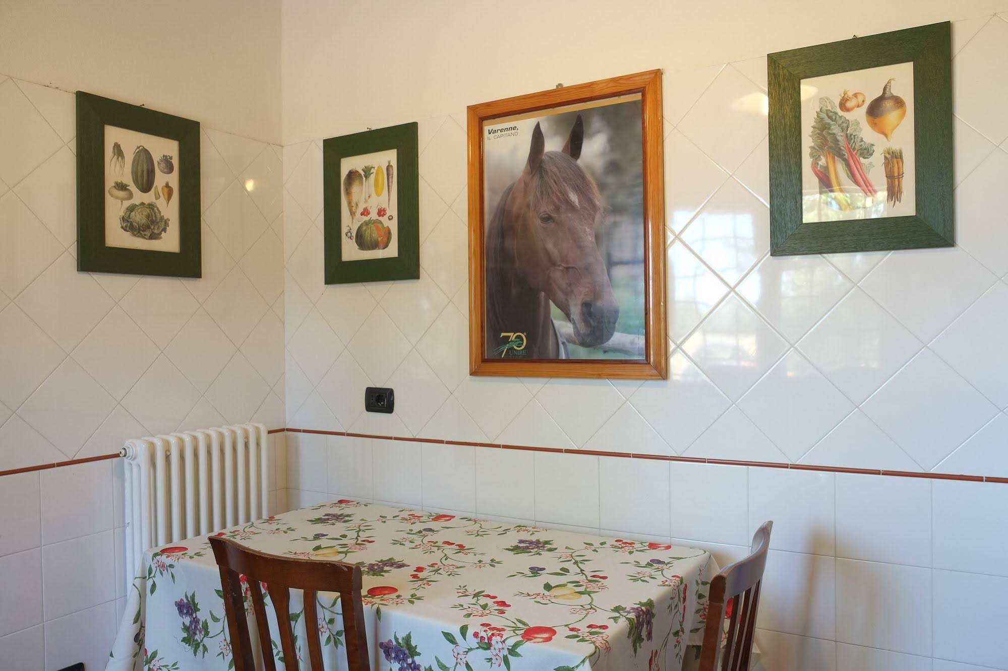 Il Prato dei Conigli