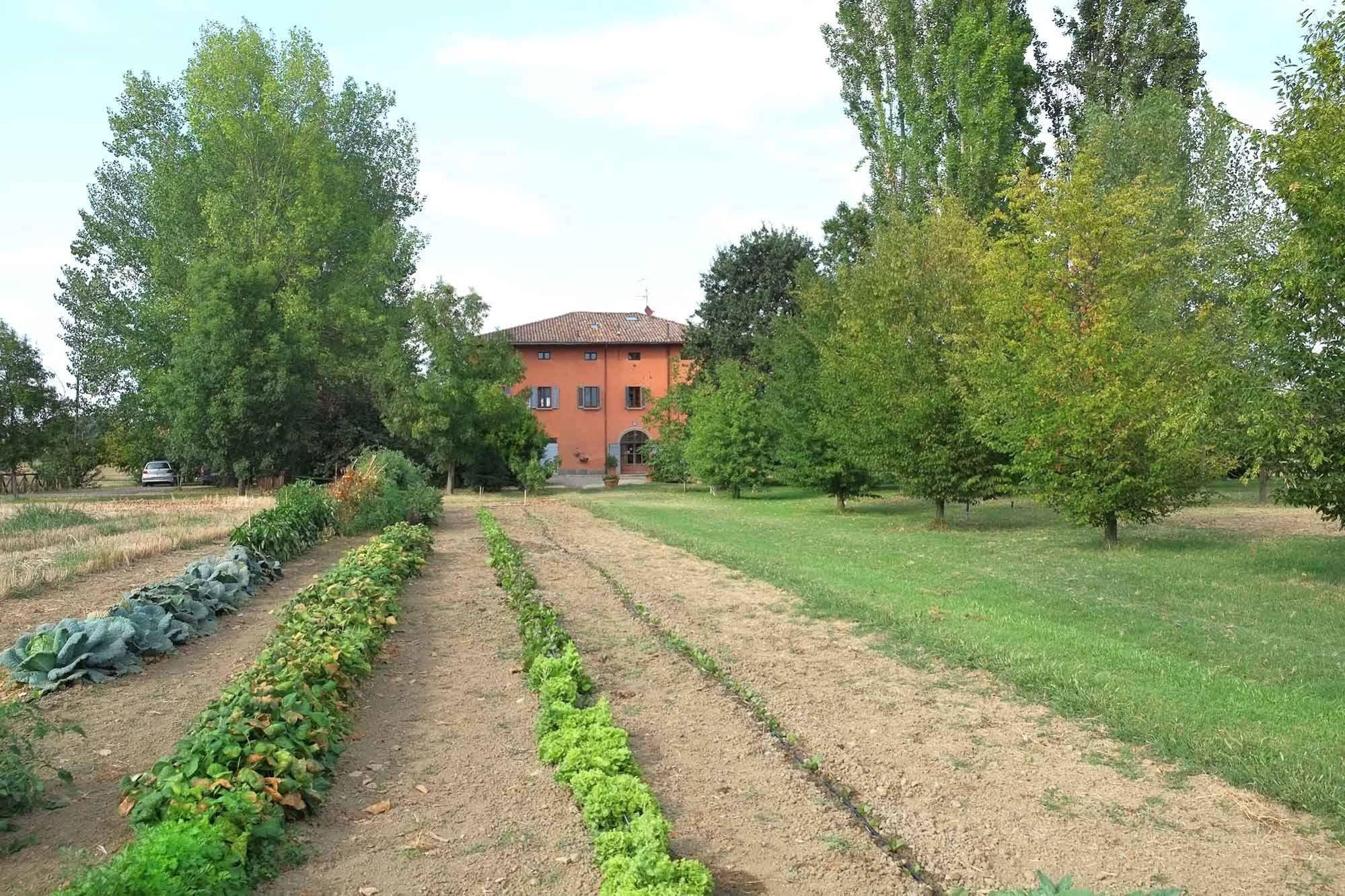 Il Prato dei Conigli