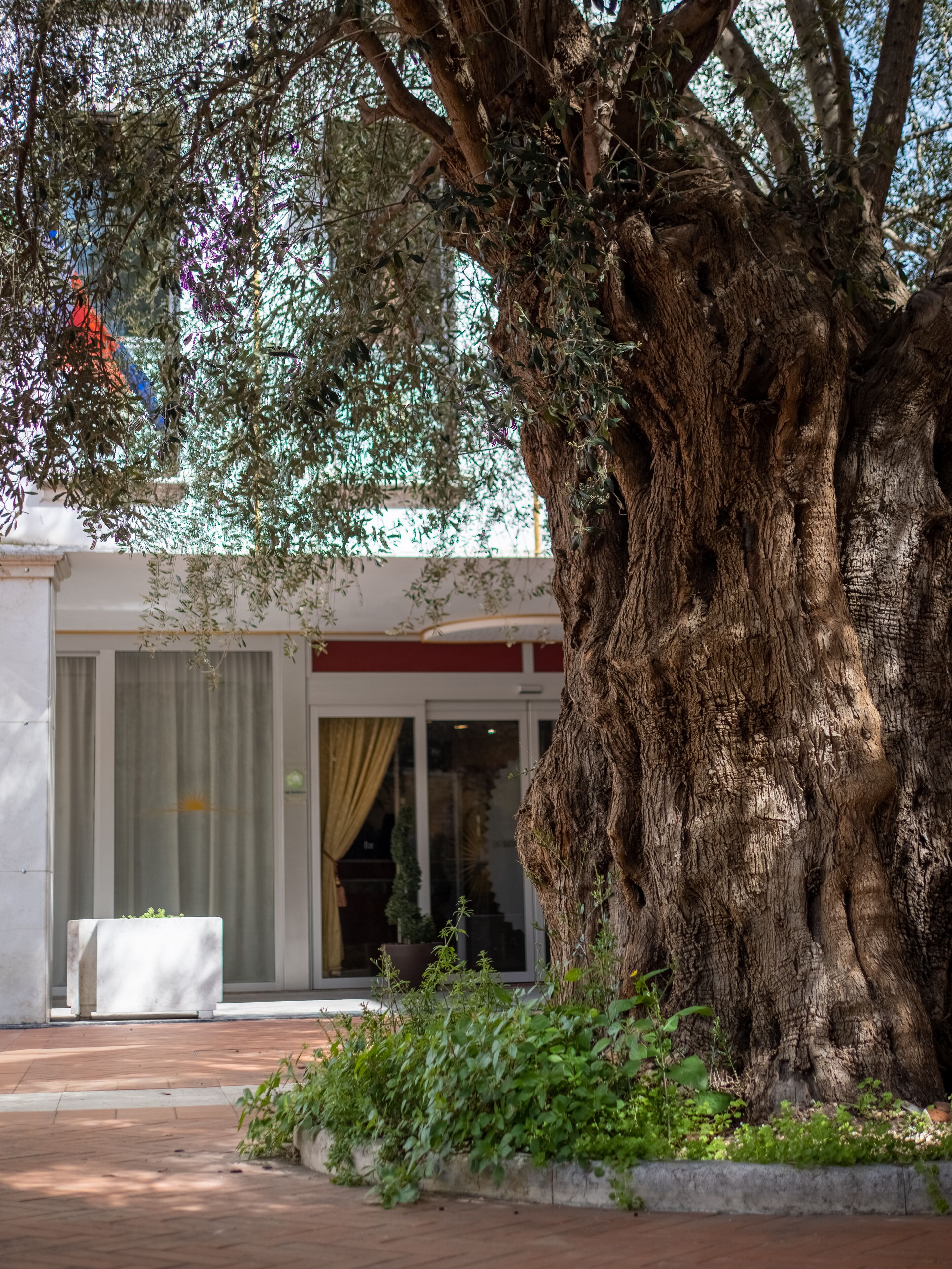 Ego' Residence Ferrara