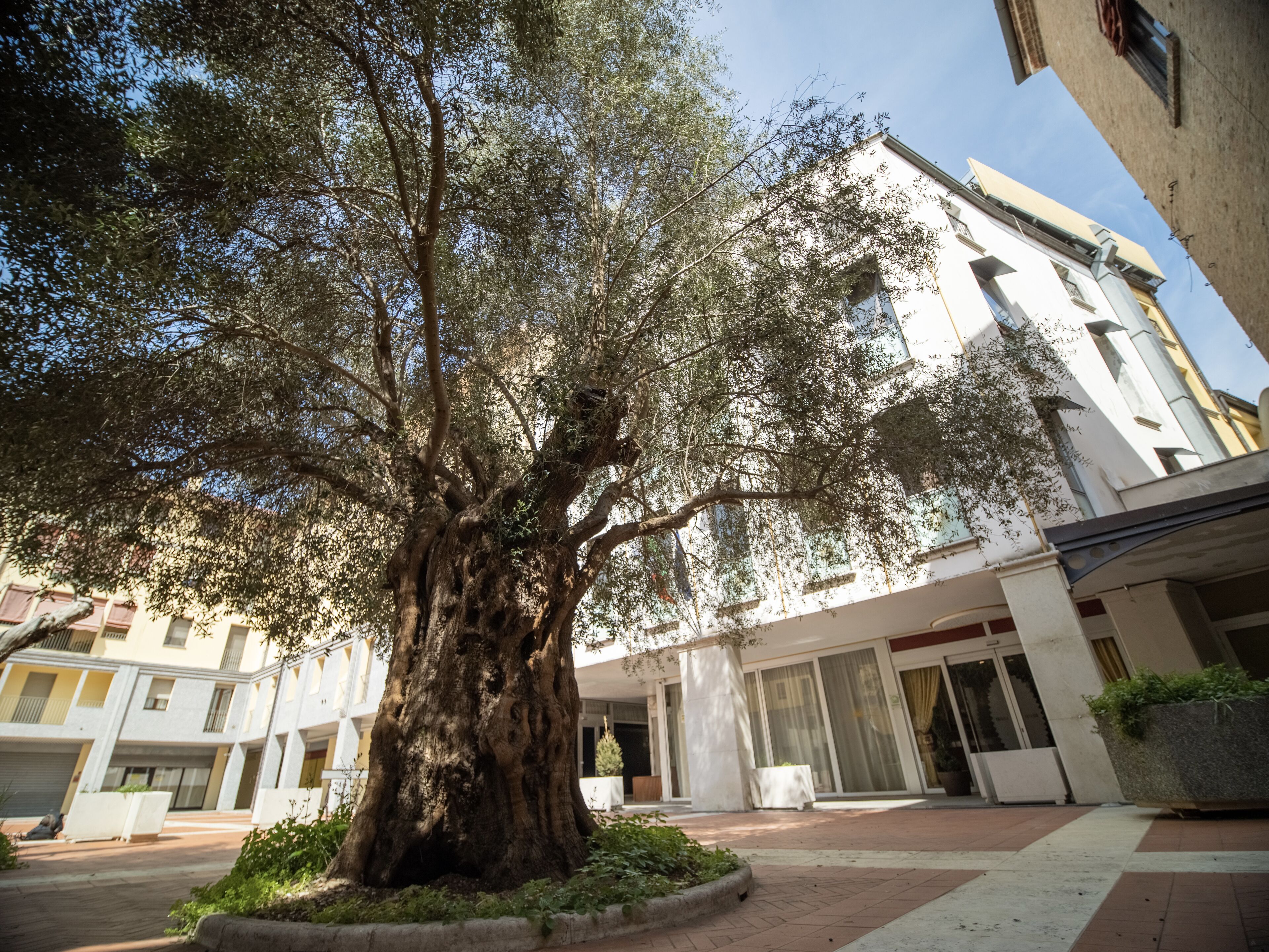 Ego' Residence Ferrara