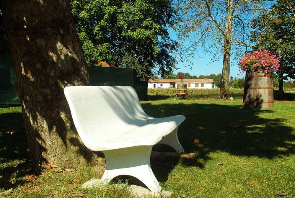 Agriturismo Ca' Nuova