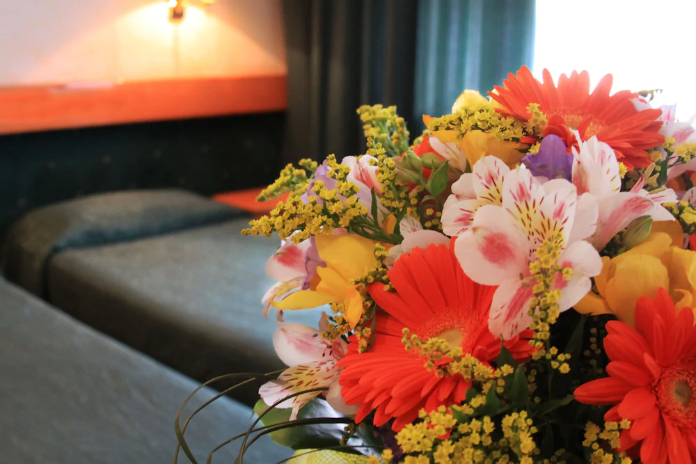 Euro Hotel Piacenza
