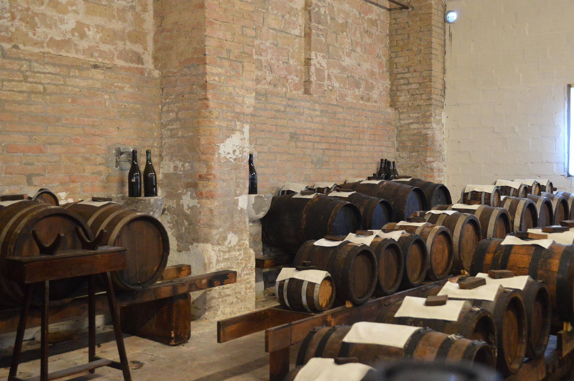 Agriturismo Cavazzone