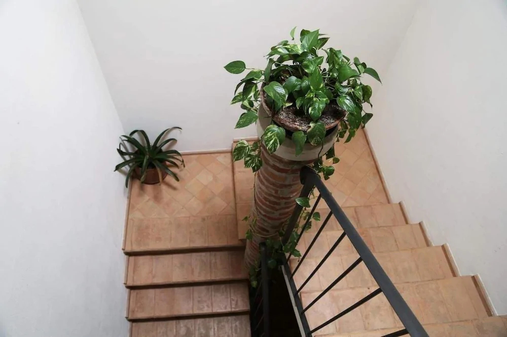 Bed and Breakfast Ca' De Taruffi