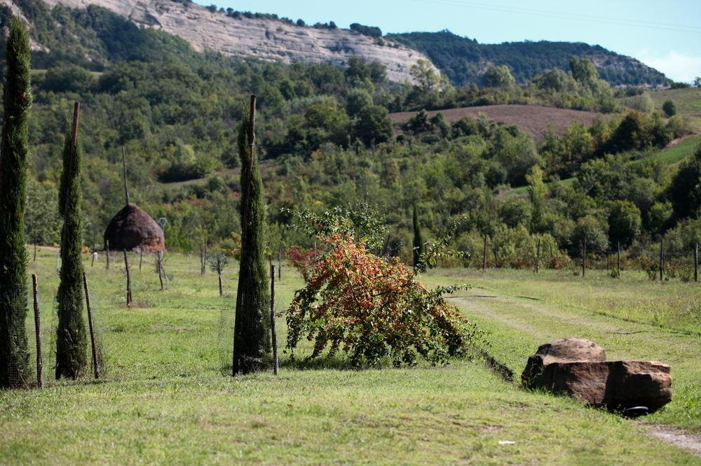 Locanda Dei Cinque Cerri