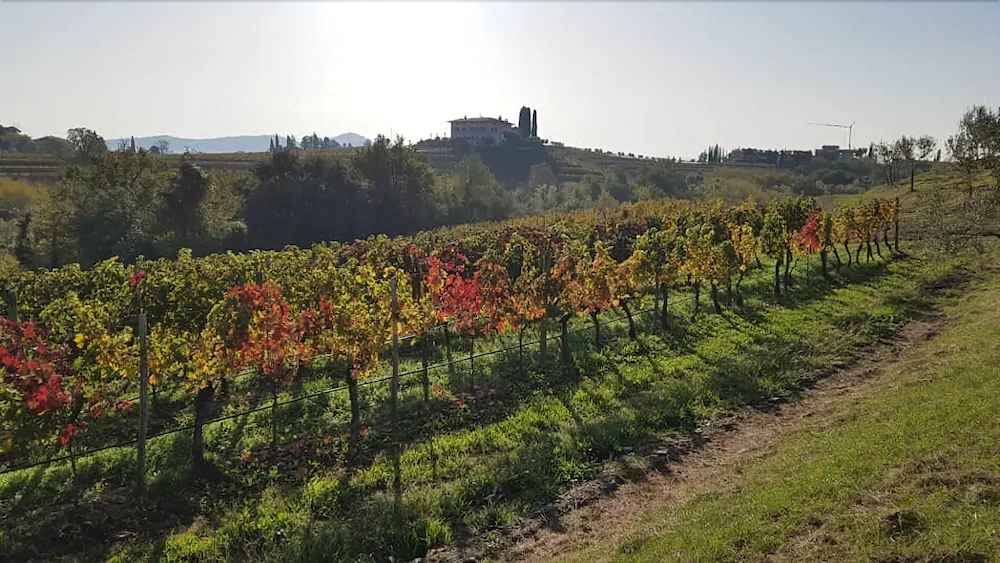 Agriturismo Residence Caporale