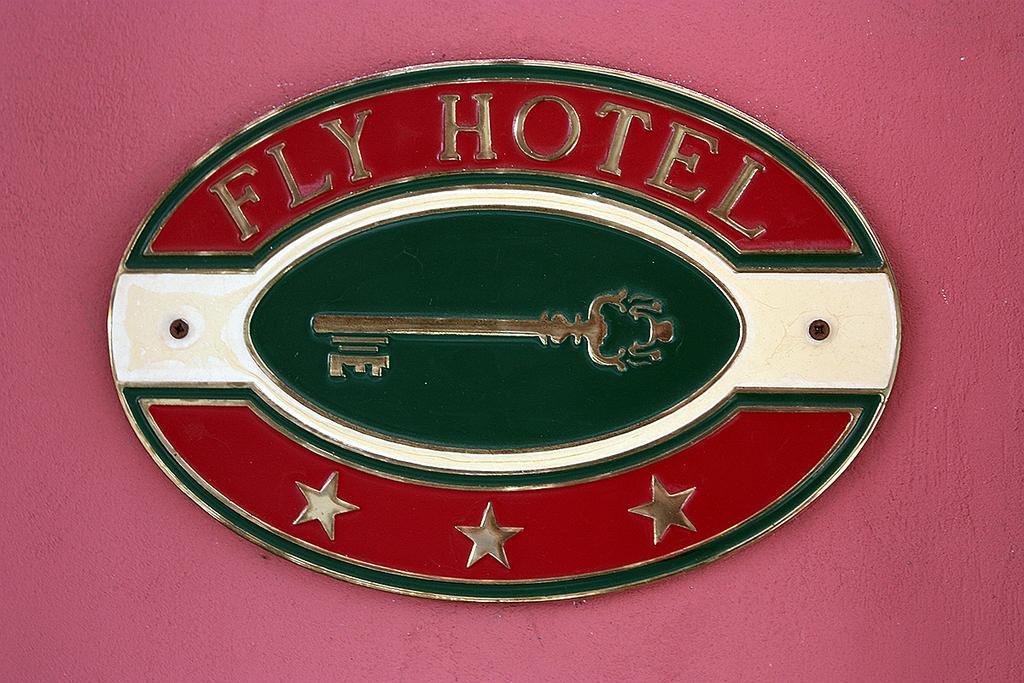 Hotel Fly
