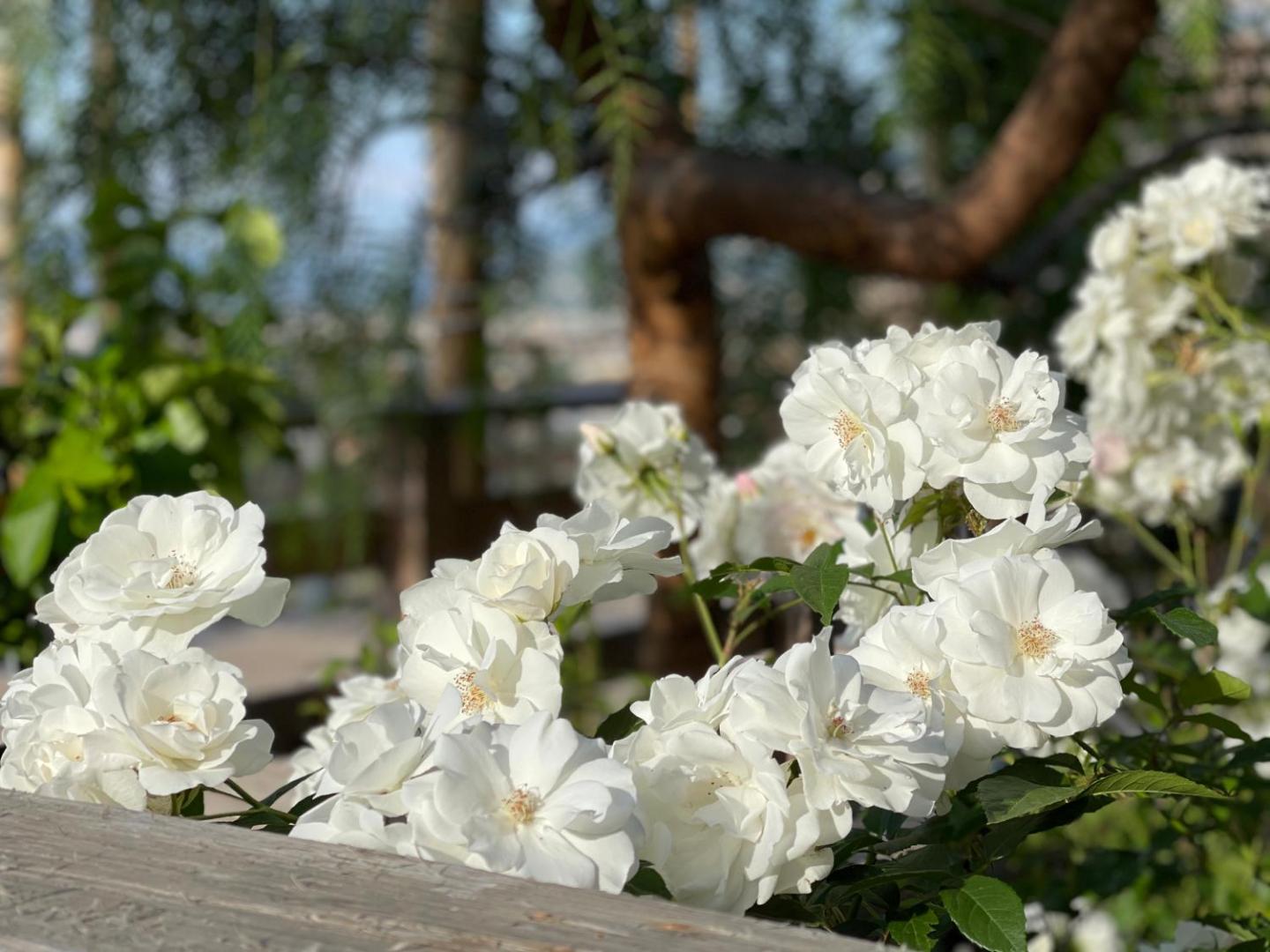 Relais Manfredi Hotel & Restauranat