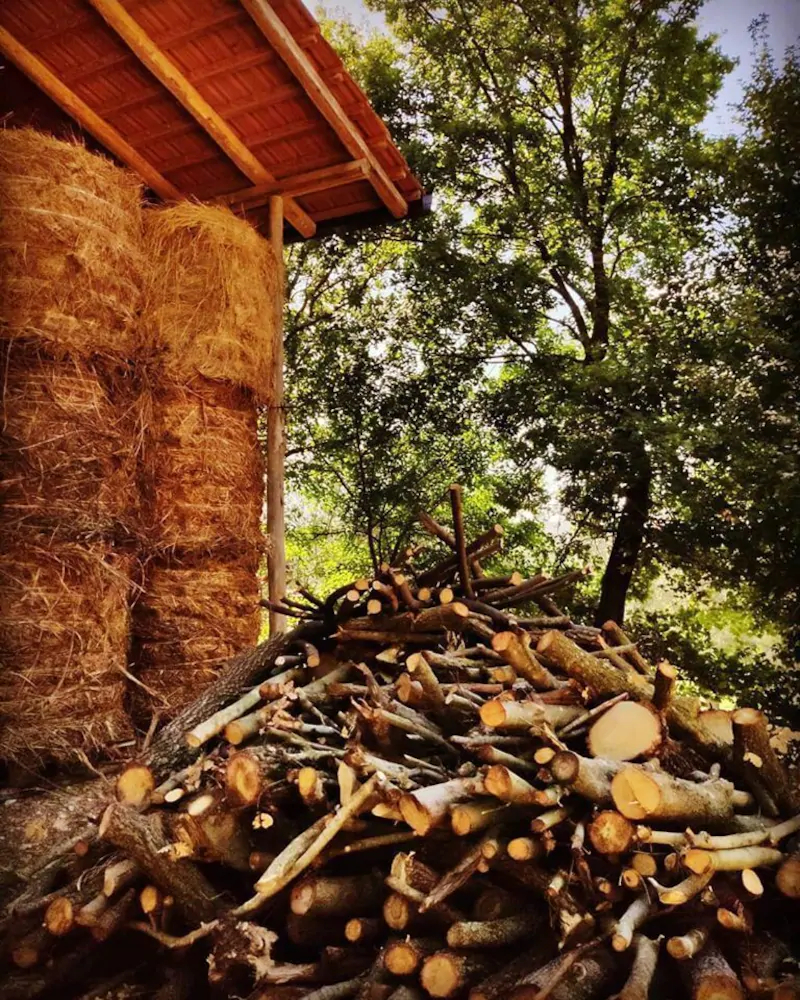 Agriturismo Valle degli Ulivi