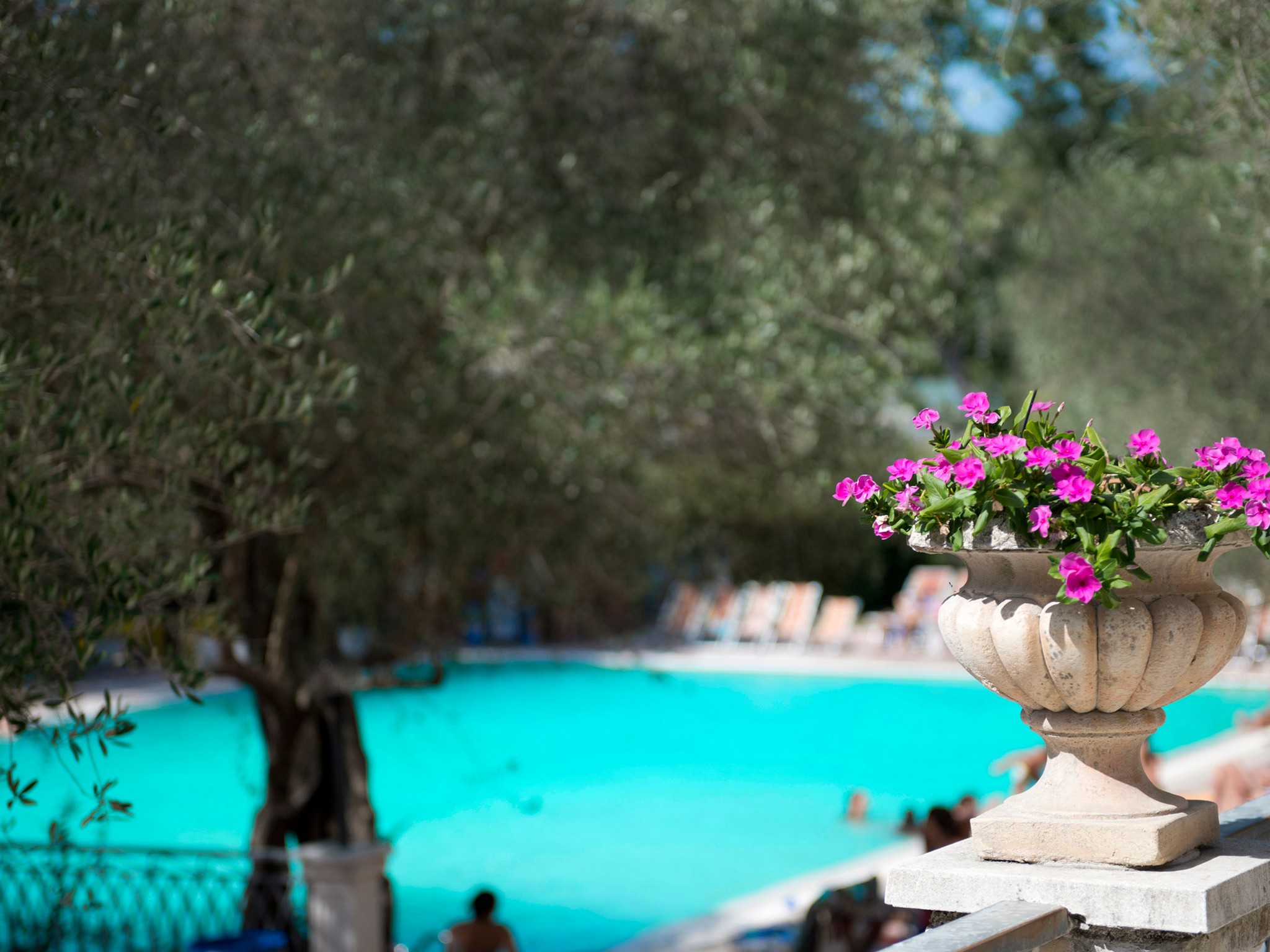 Terme Forlenza Hotel