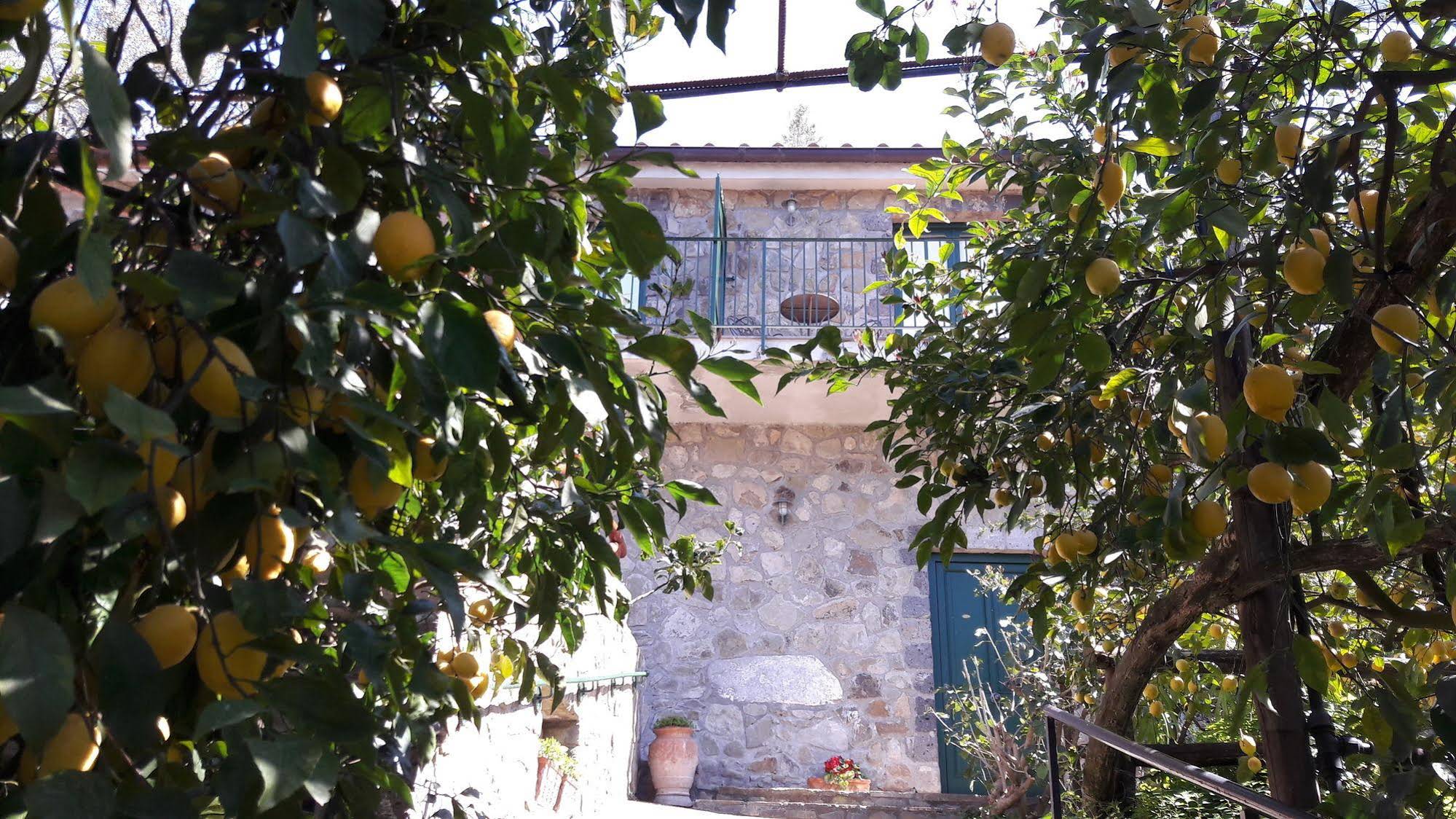 Agriturismo La Lobra