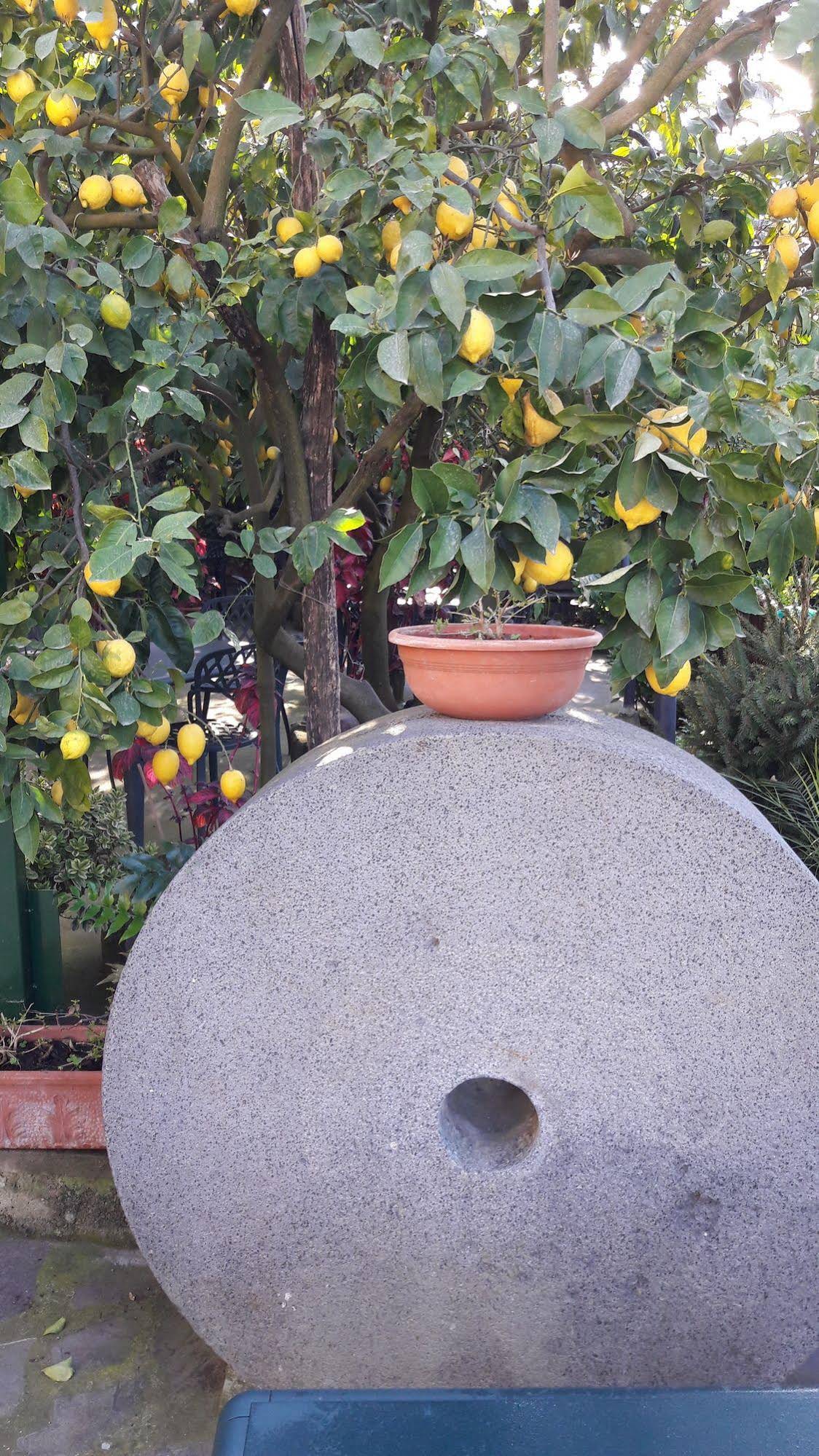 Agriturismo La Lobra