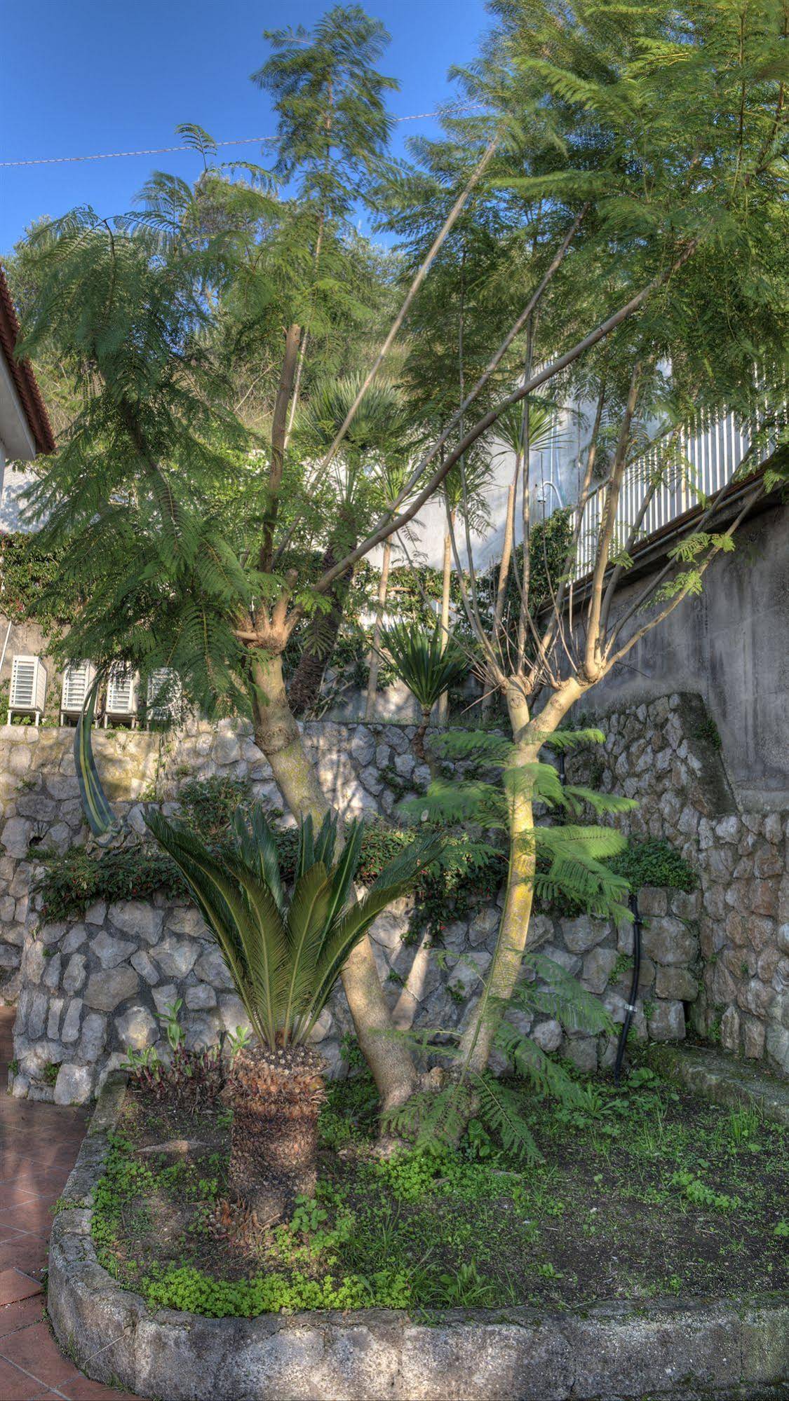 Gocce Di Capri Hotel & Serviced Residence