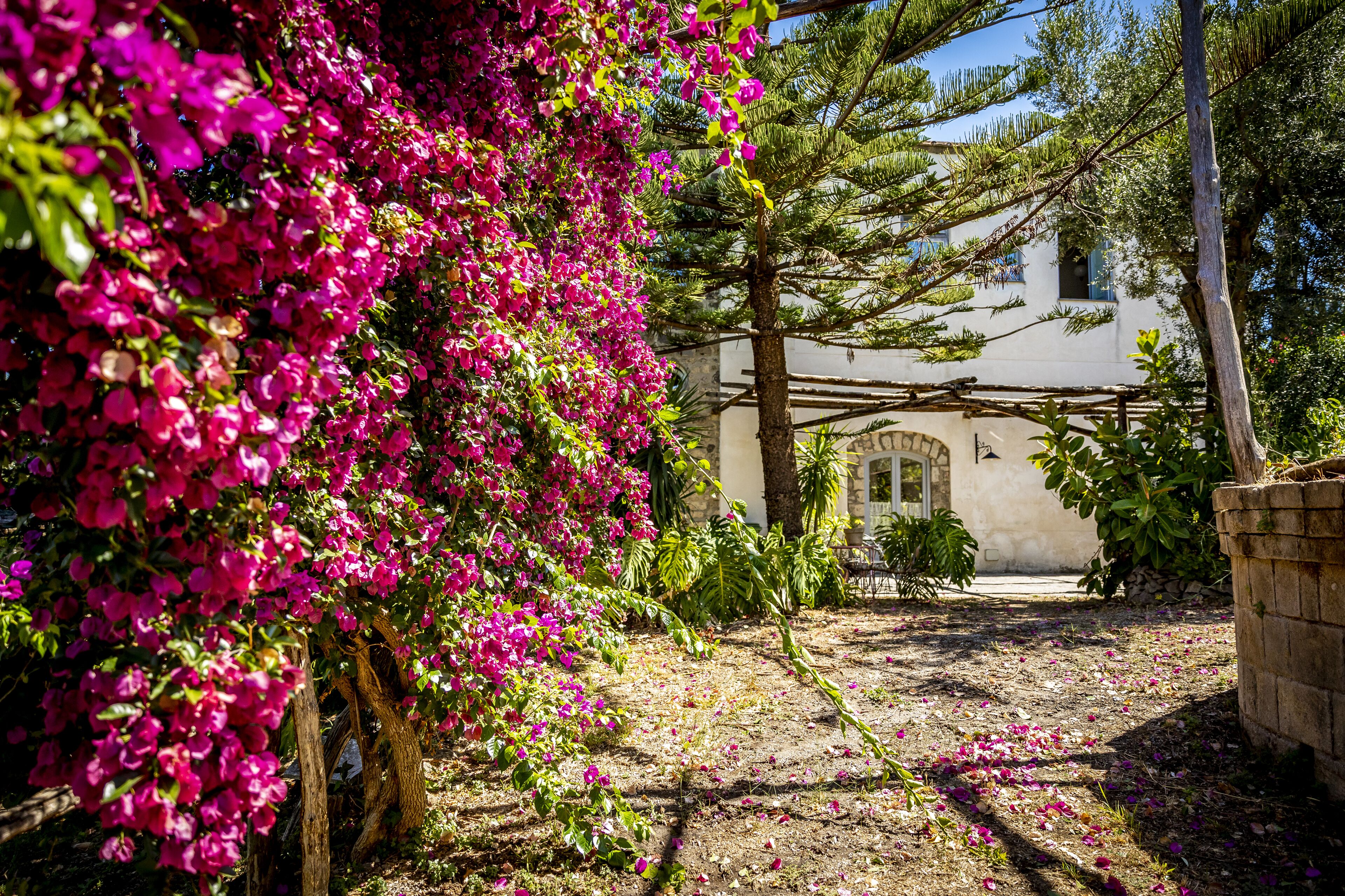 Villa Puolo With Private Sea Access