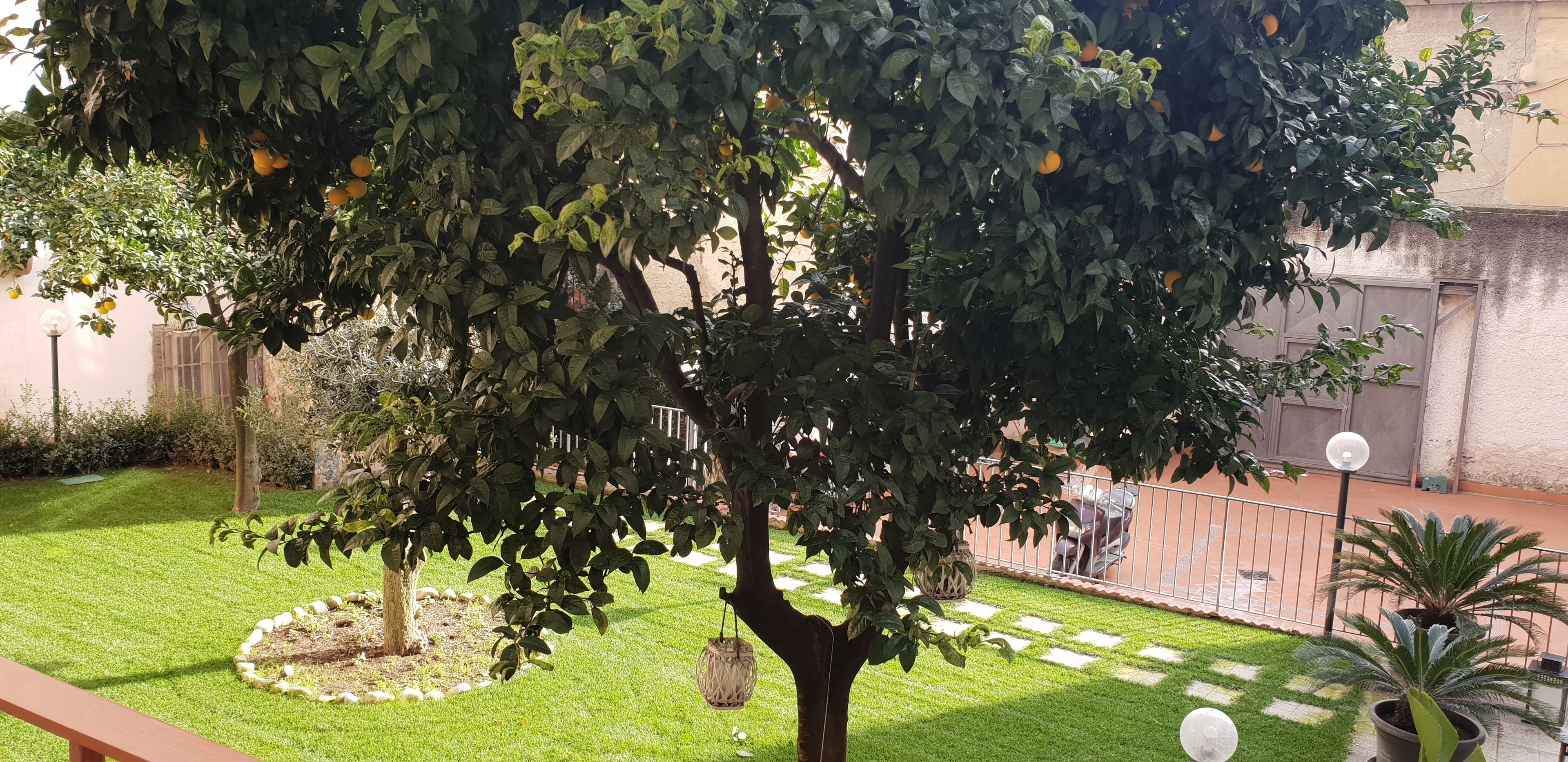 A Due Passi Dal Museo